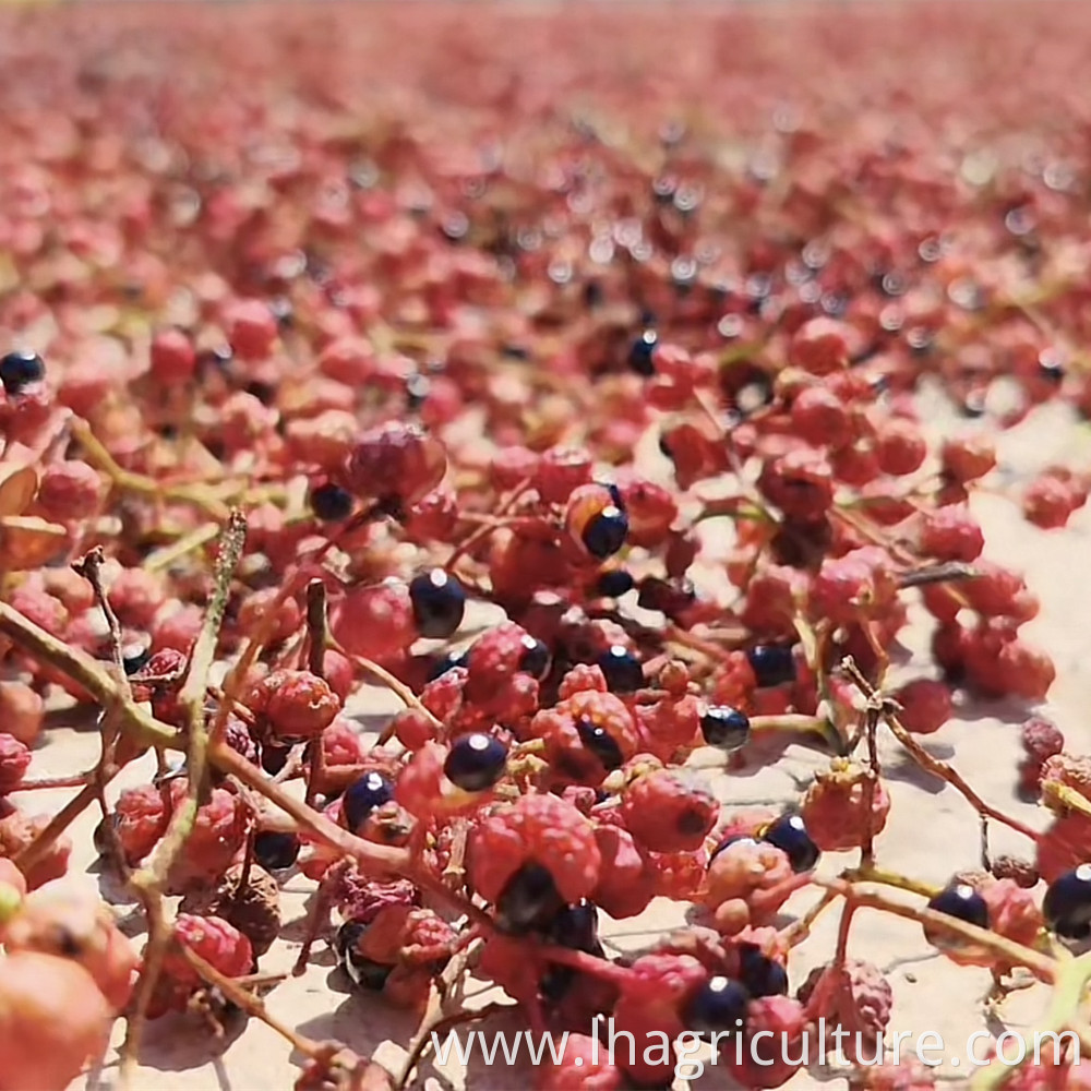 Dry Red Peppercorns